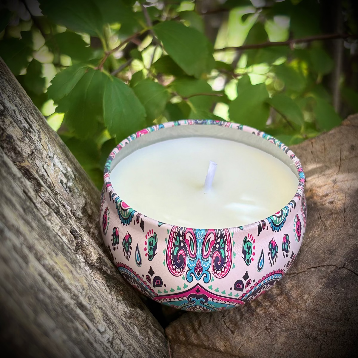Candle in a decorative holder on a wooden surface with green leaves in the background