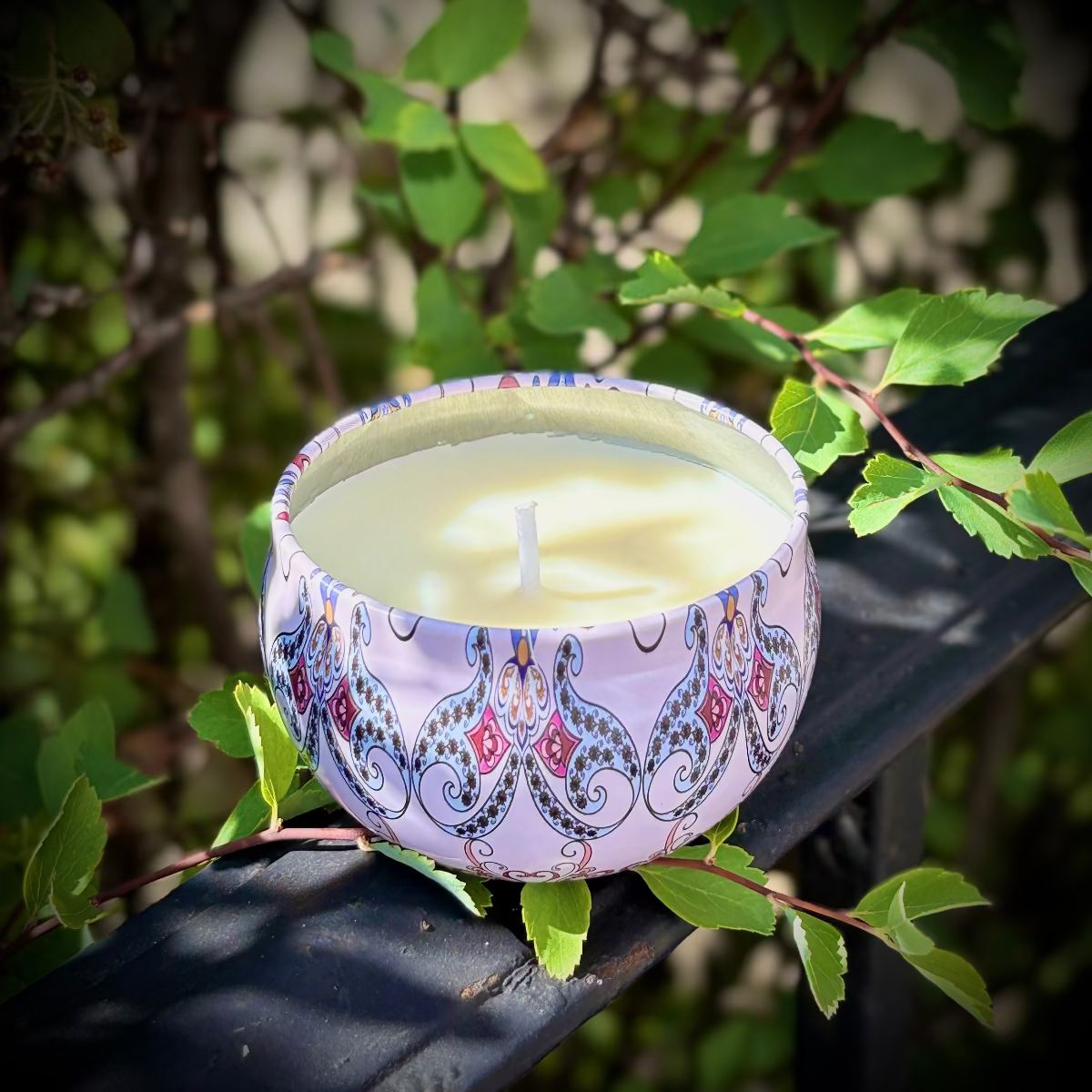 Candle in a decorative holder on a branch with green leaves